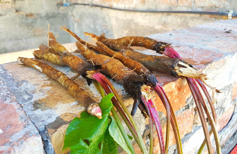 クリックすると拡大表示になります