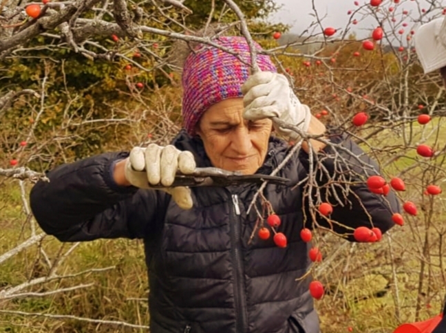 クリックすると拡大表示になります