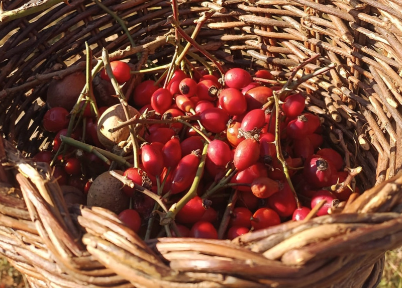 クリックすると拡大表示になります