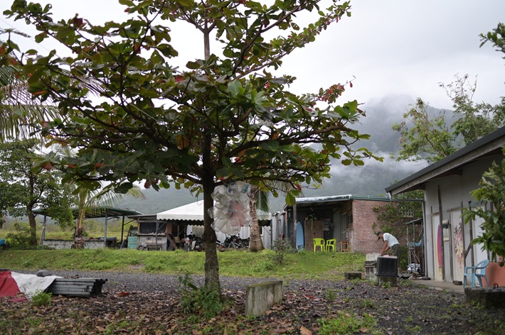 クリックすると拡大表示になります