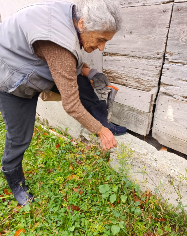 クリックすると拡大表示になります