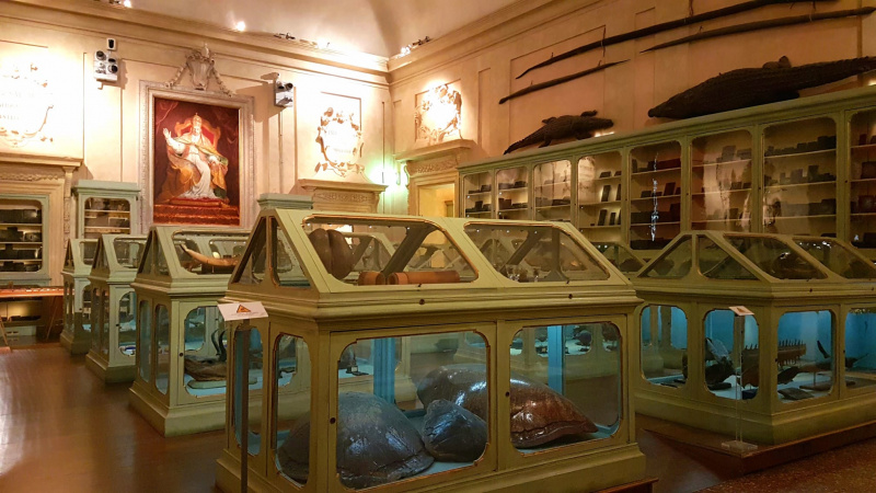 クリックすると拡大表示になります