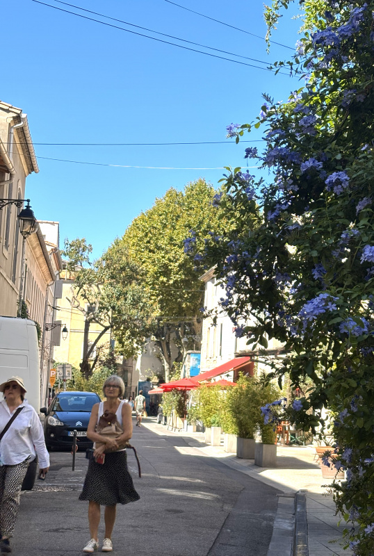 クリックすると拡大表示になります